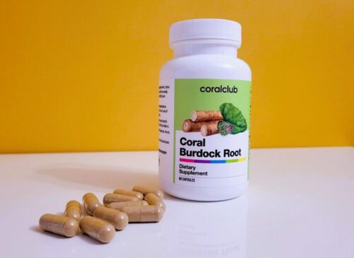 Coral Burdock Root